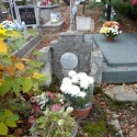 chryzantemy_niemiec02
