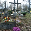 chryzantemy_niemiec09