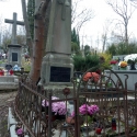chryzantemy_niemiec14