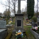chryzantemy_niemiec16
