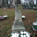 chryzantemy_niemiec29