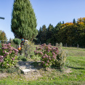 fot-0092