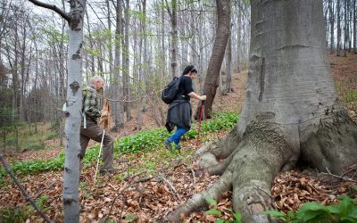 Wiosenna wyprawa na Cieklinkę. Chodź razem z nami!