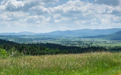 I Maraton na Orientację „KIWON”. Ostatni dzień taniej opłaty startowej!