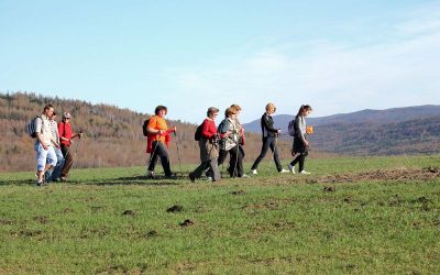 III Marszobieg na Cieklinkę rekordowo liczny